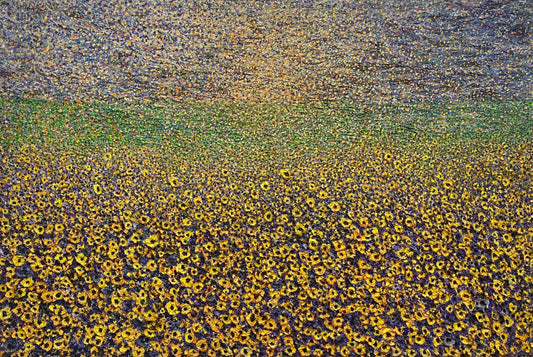 Landscape Memories #35