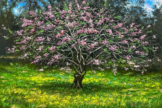 Kakawate Blooms