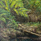 Ferns and Bamboos