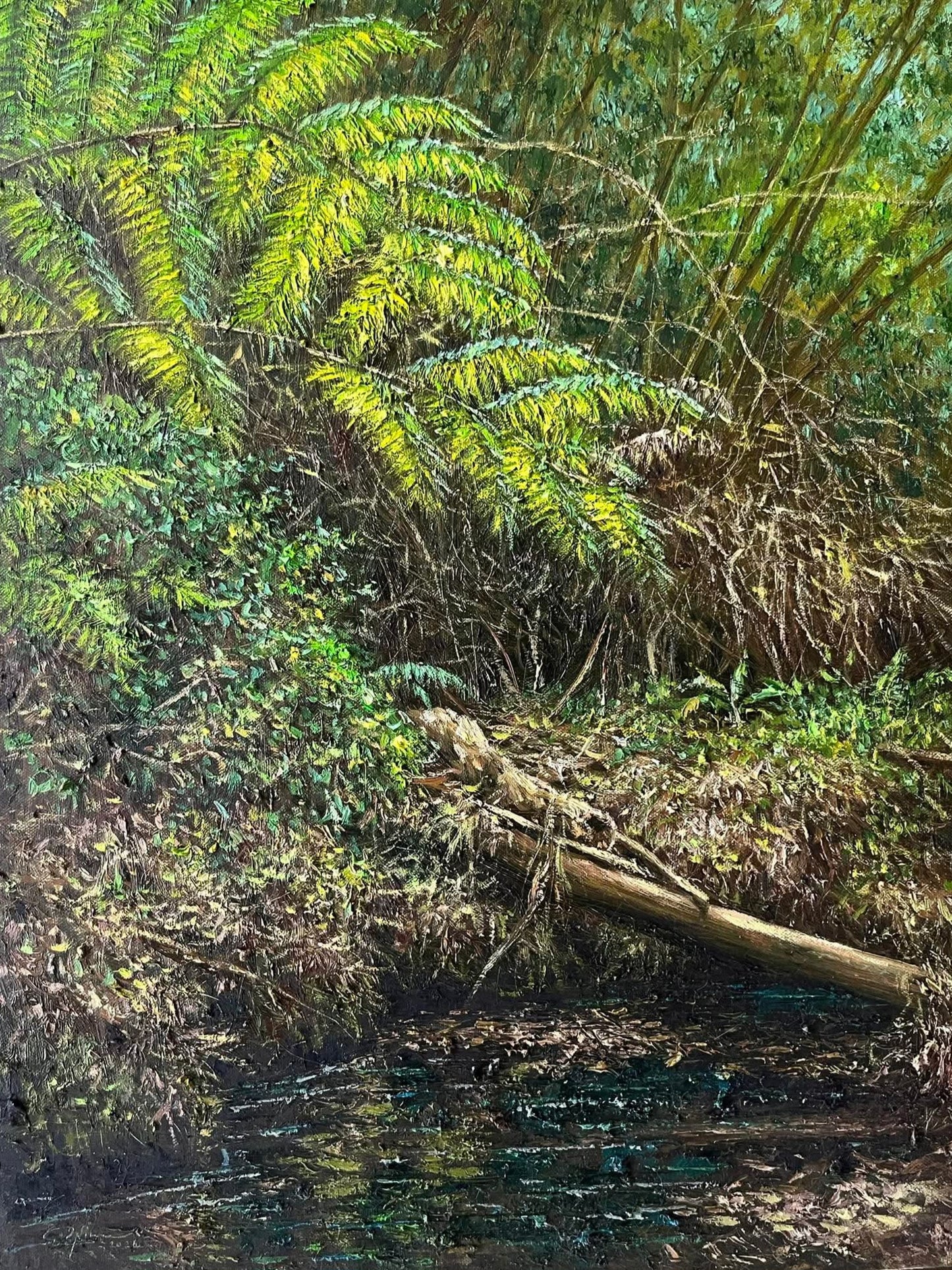 Ferns and Bamboos