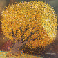 Abundance in Gold