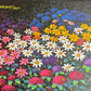 Floral Path Series