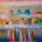 Regatta's World