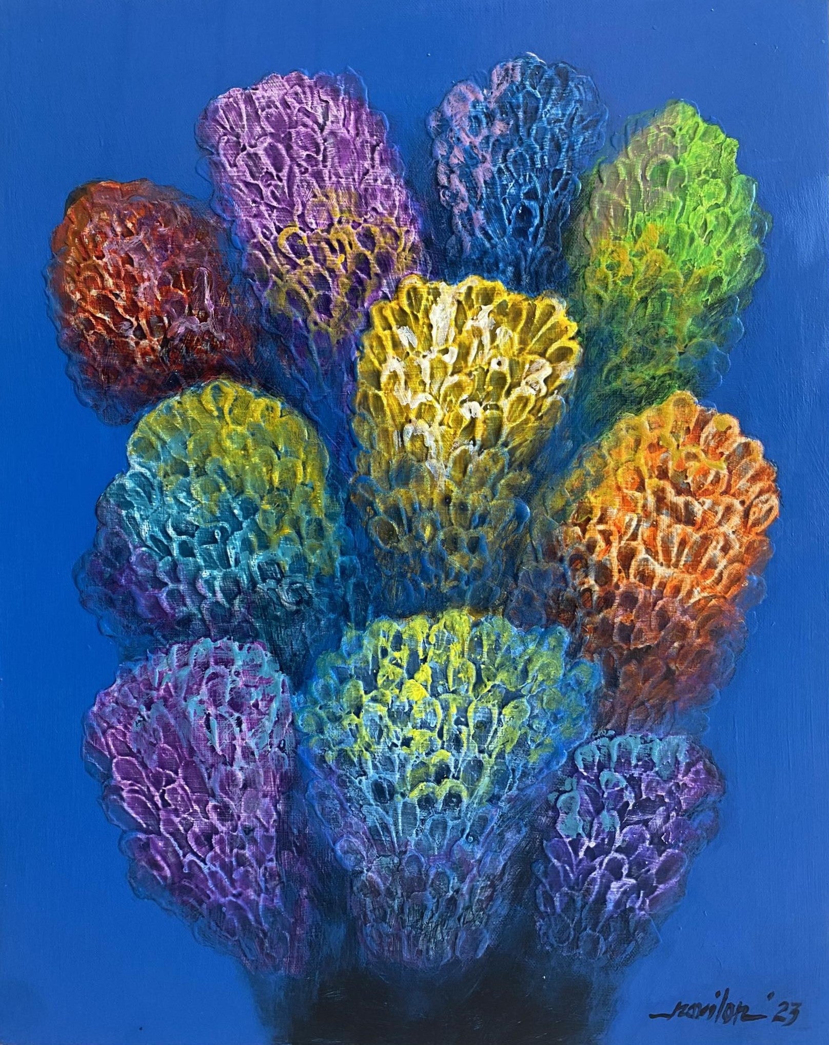 Navilon Coral Series 29