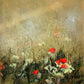 Dusky Bloom