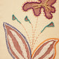 Petalia 2