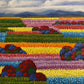 Landscape Series
