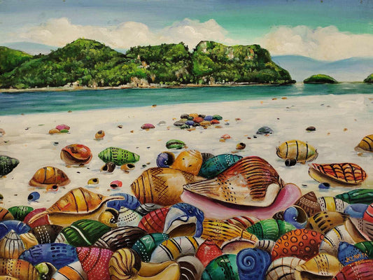 Coral Shells Stories