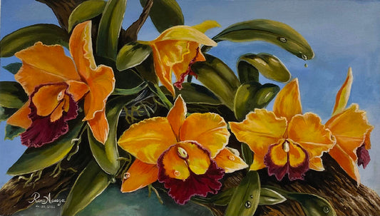 Cattleya