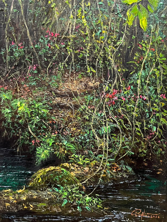 Curtains of the Wild II