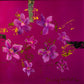 Pink Flower