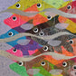 Fish Series
