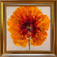Abstract Floral Series