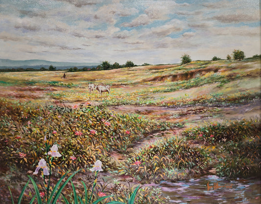 Grazing in the Meadows