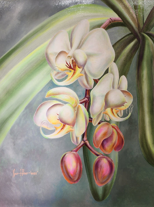Orchids