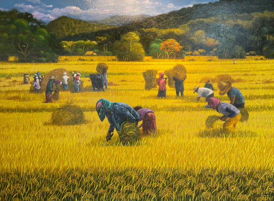 Rice Harvest