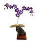 Orchid Flower (Violet)