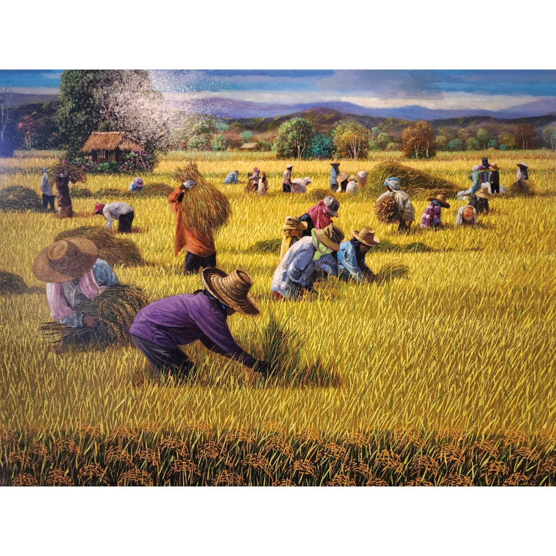 Rice Harvest Series II