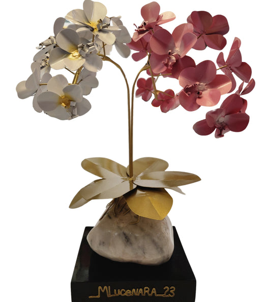 Orchid Flower (White and Pink)