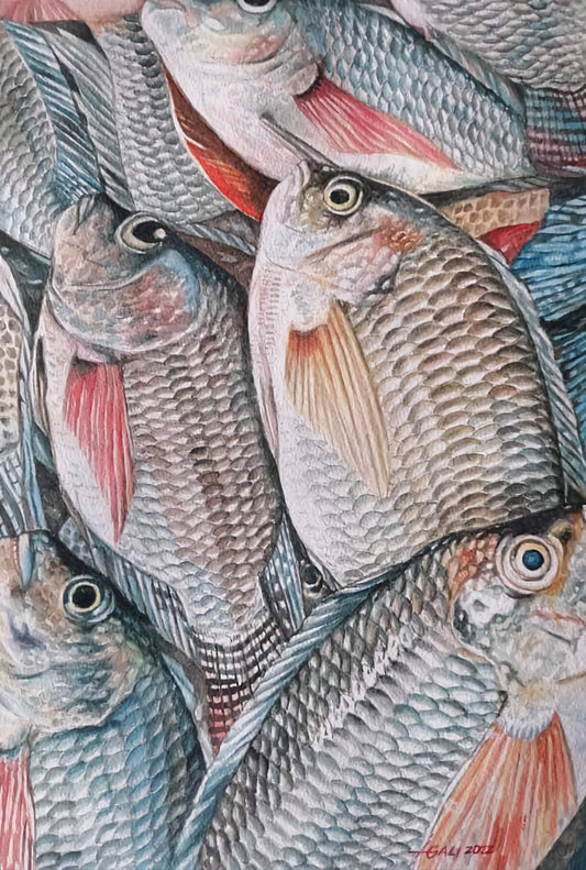 Fresh Fish